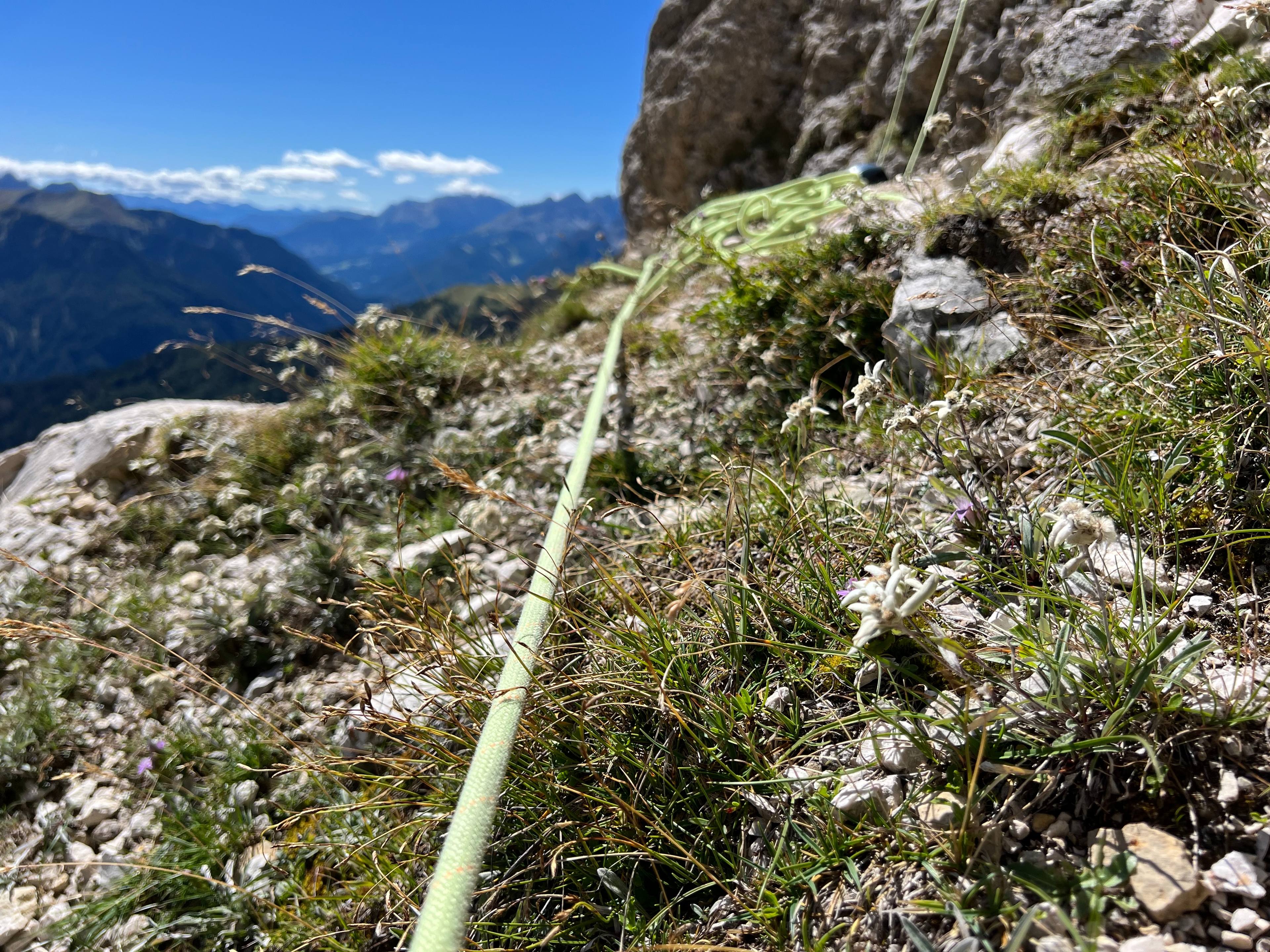 Edelweiss und Kletterseil vor Dolomiten-Panorama — Mehrtagestour Alpinklettern